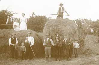 haymaking involved all the family